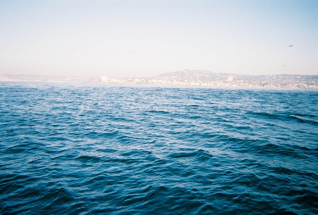 sandiego.sized