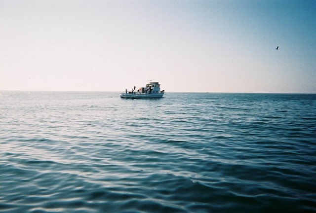 sea1.sized