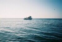 sea1.sized